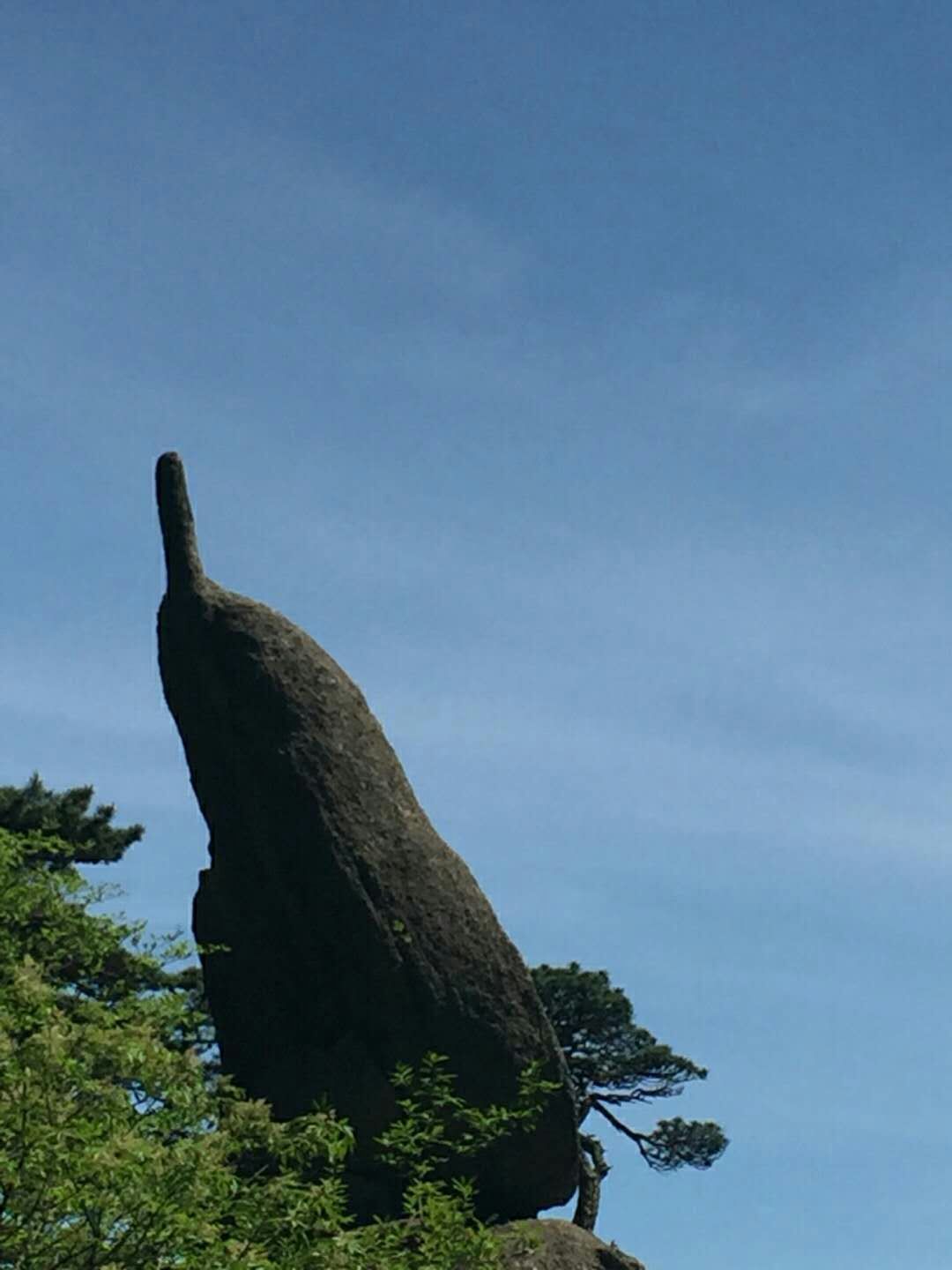形态别致,或大或小,争相竞秀,意趣无穷黄山怪石,有的酷似珍禽异兽,如"