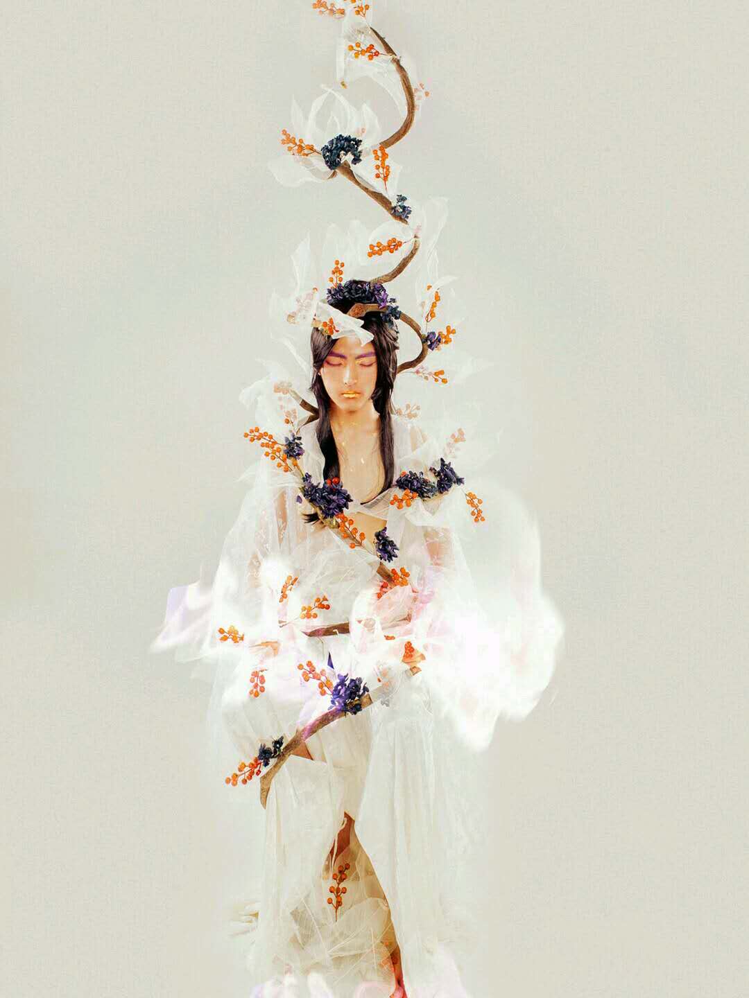 摄影师眼中的建木神树!仙气围绕犹如神话再现!