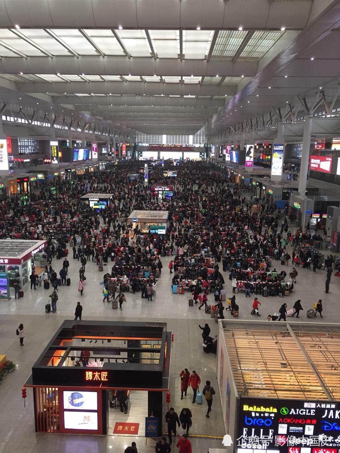 上海虹桥高铁站春运景象千山万水挡不住游子回家过年现场图
