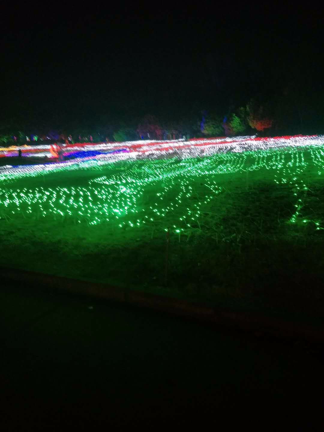 濮阳绿色庄园灯光图片