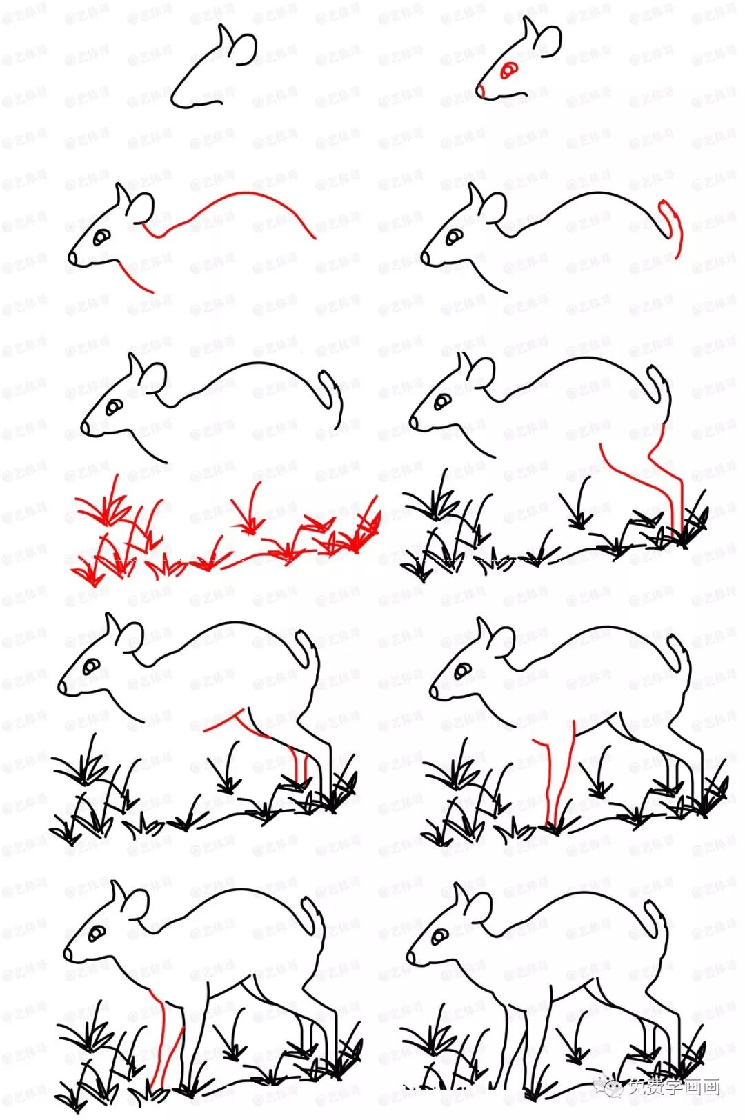 一步一步免费教你画鹿2|绘画|草地|教程_新浪新闻