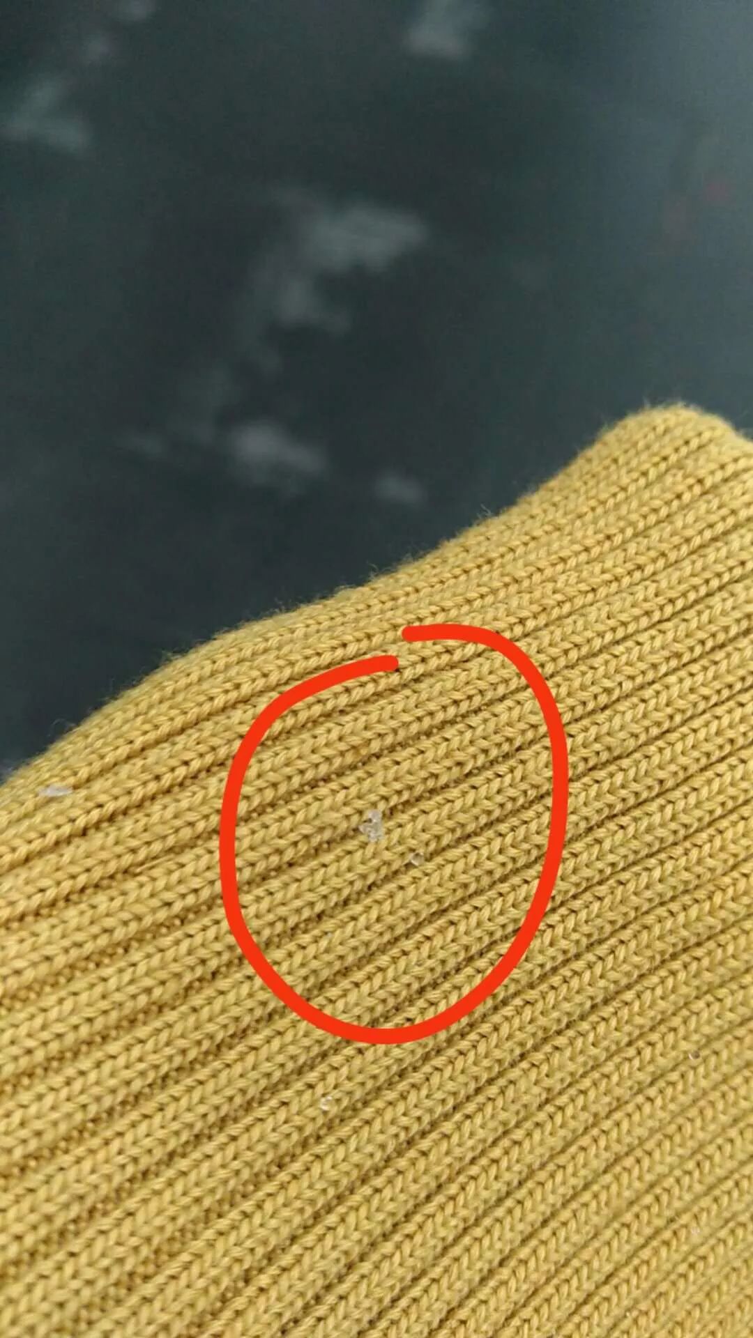 成都终于下雪啦一粒一粒超大颗赶紧出门看看