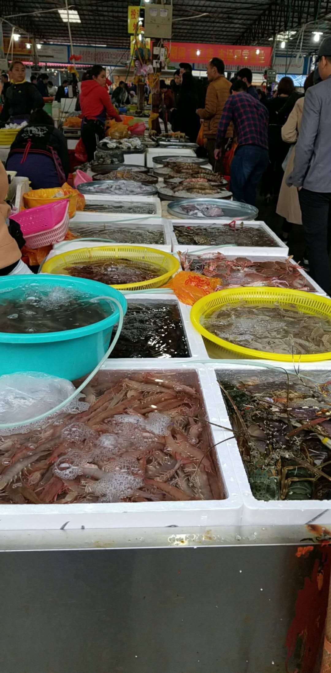 趁圩赶集—海口市美兰板桥海鲜市场,品种多,价不低