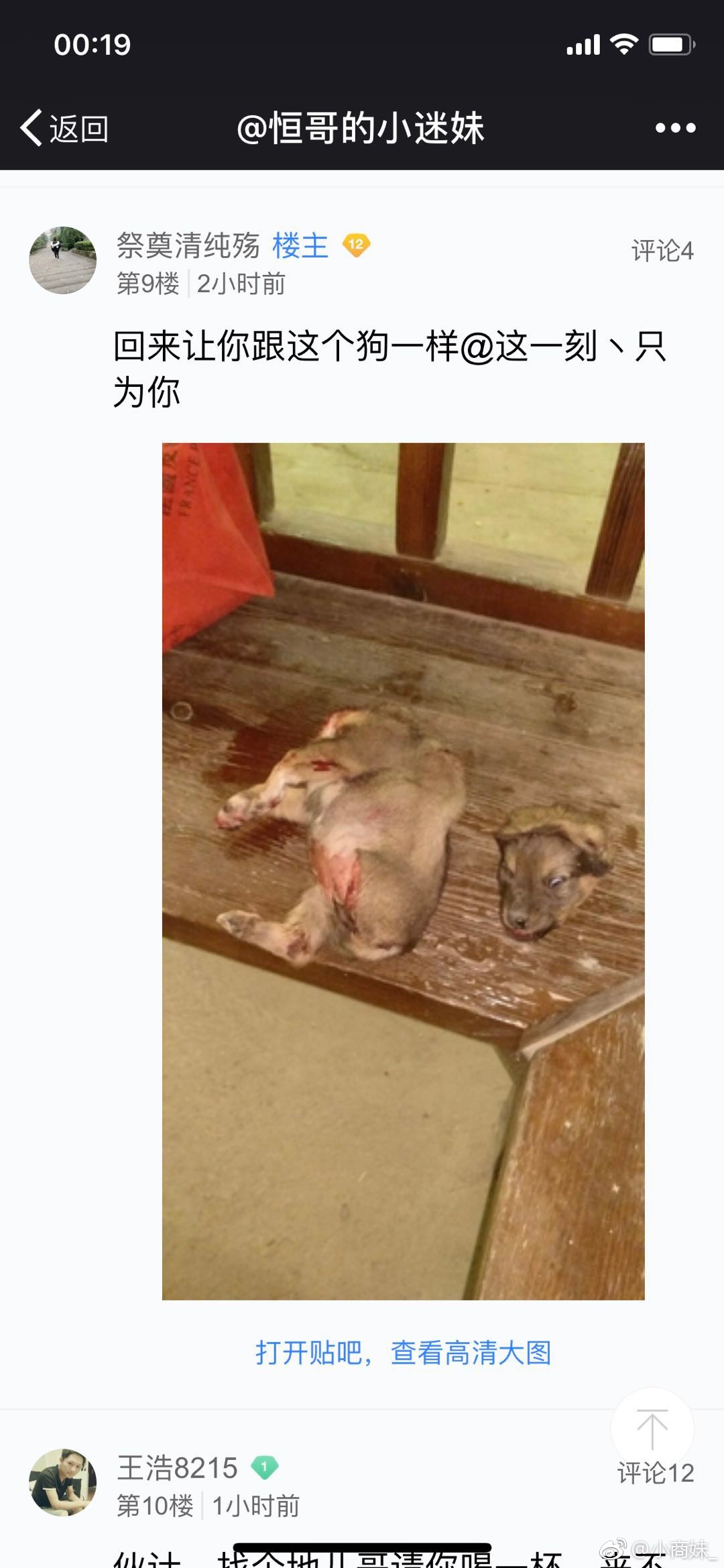 男子长期虐狗取乐 网上发布血腥图片称"就像人饿了要吃饭"[怒]