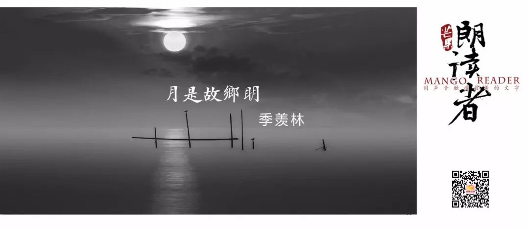 《月是故乡明》原文(文字摘选)
