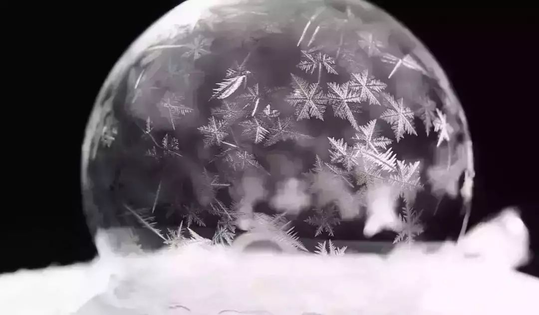 雪花|肥皂泡|冰花_新浪新闻