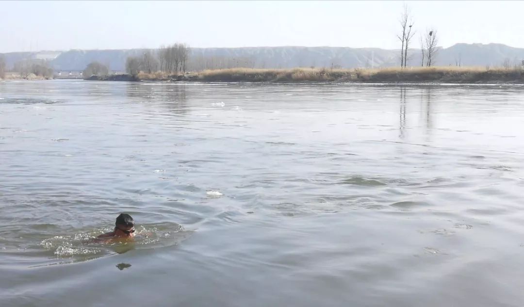wo 零下十几度,中卫黄河边有人竟然在游泳,在游泳…|冬泳|黄河|中卫