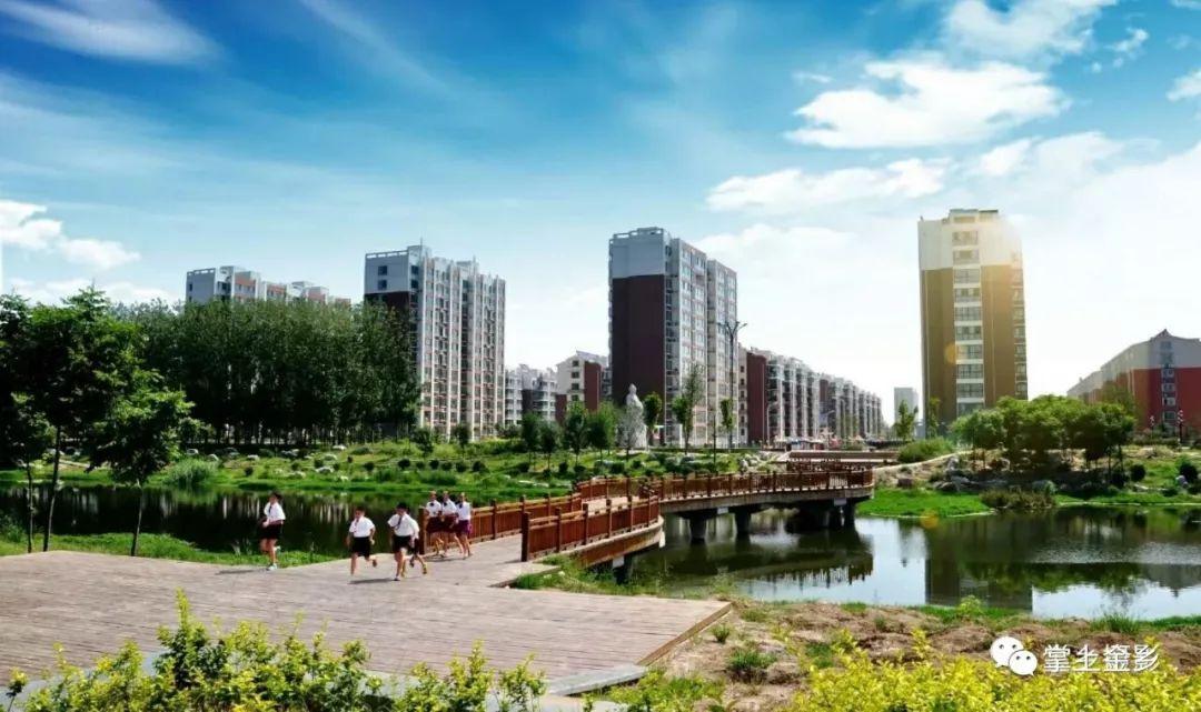 今年金乡计划植树造林8172亩,冲刺省级森林城市!