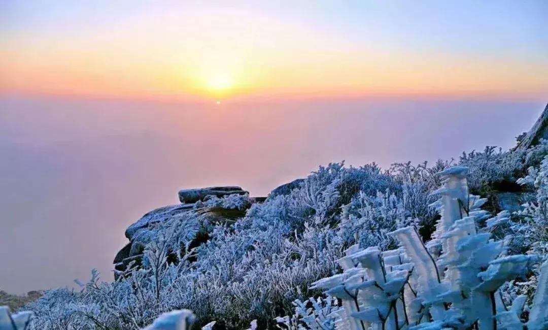 网友在樟树玉华山顶用手机拍到惊艳的一幕有图有真相