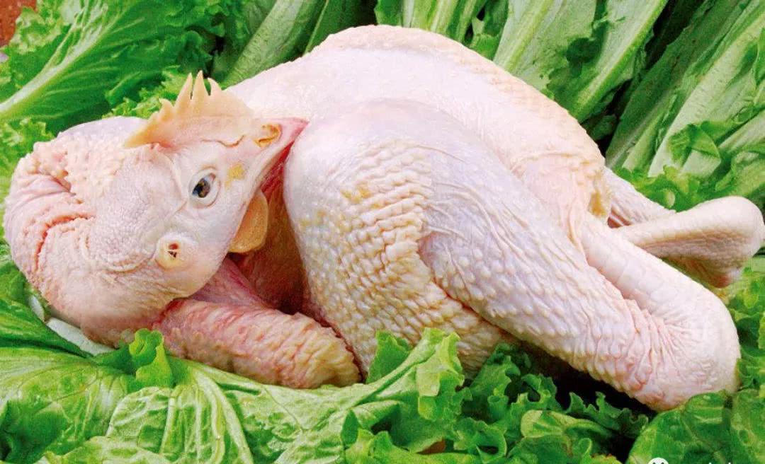 具有温中益气,补中填髓,降逆健胃的功效.