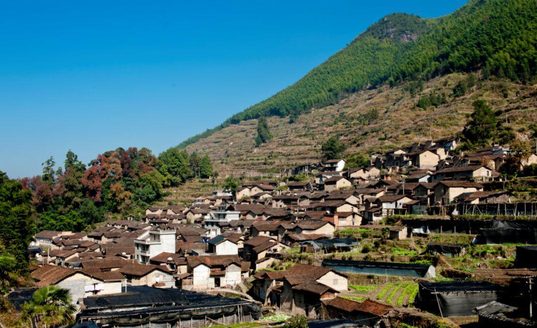 竹林、古道、黑瓦泥墙——带你走进新处生态源