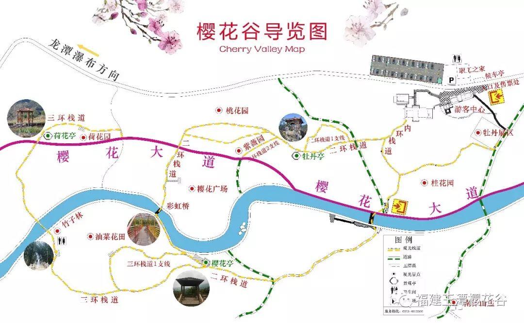 霞浦有个隐世的樱花谷, 美的宛若仙境一般!