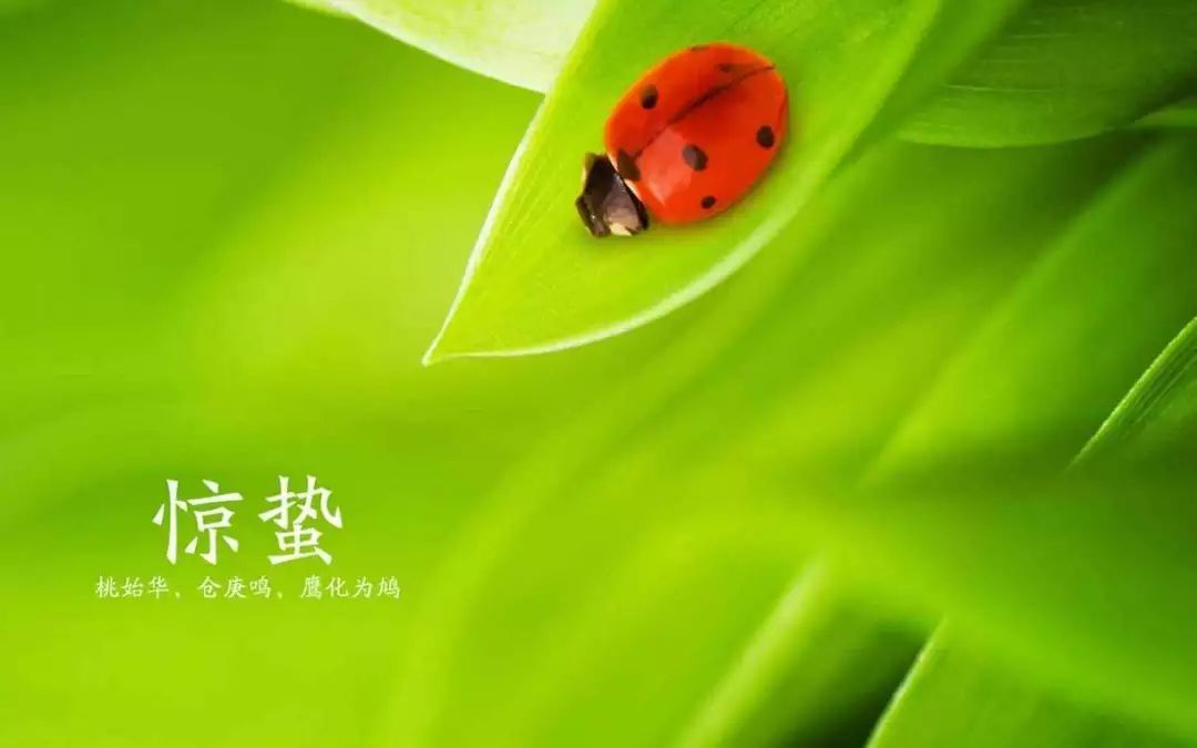 迷之广州天气以为刚入夏却下起冰雹气温更直降9