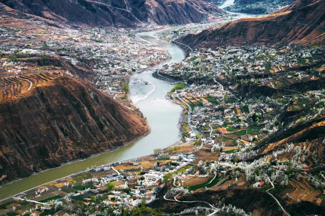 正文   有"阿坝州小江南"美誉的金川自古就是雪梨之乡,丰饶的河谷地区