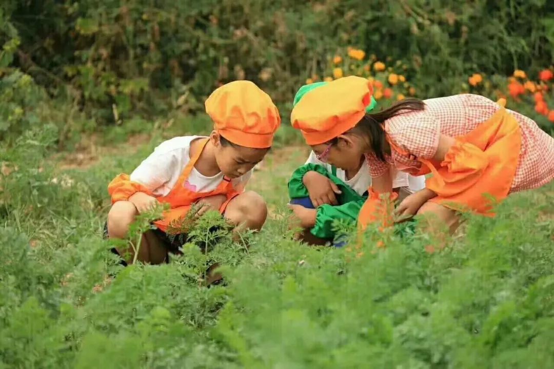 来小羊时代,当一天"羊倌儿"!