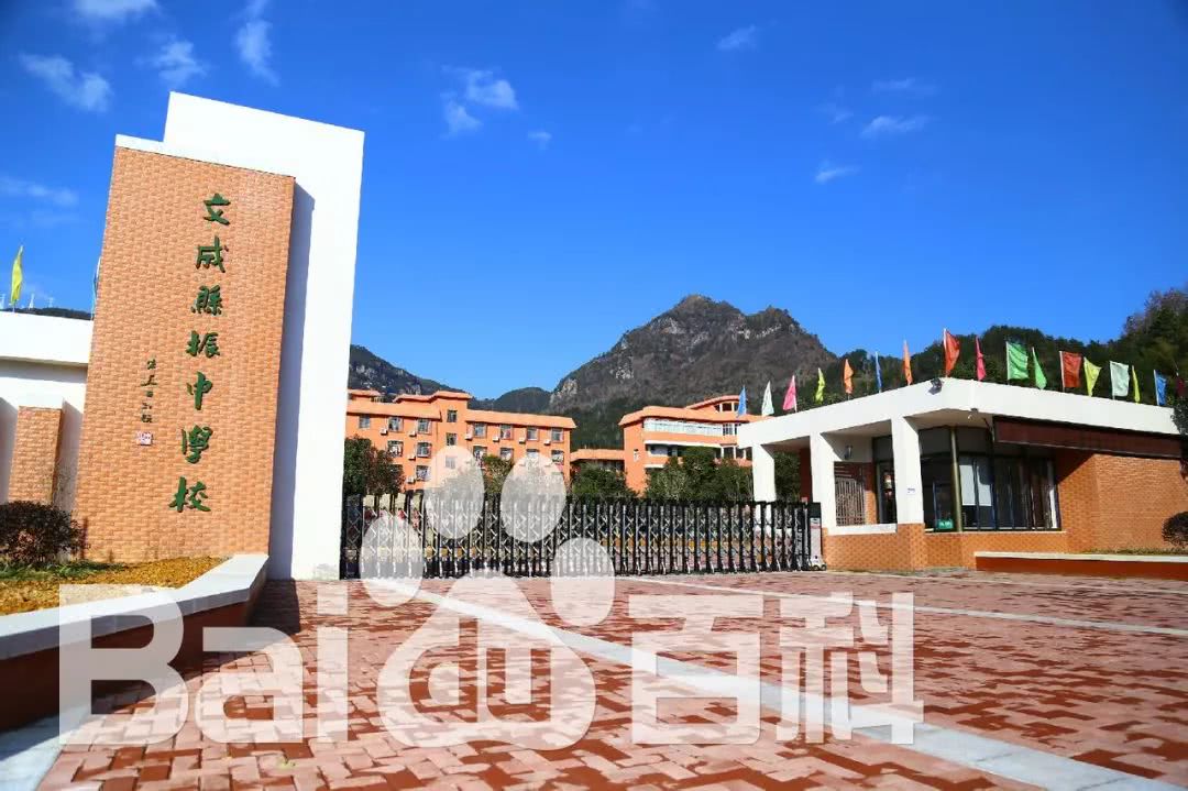文成这所学校出名了!你的孩子有在这里读书吗?