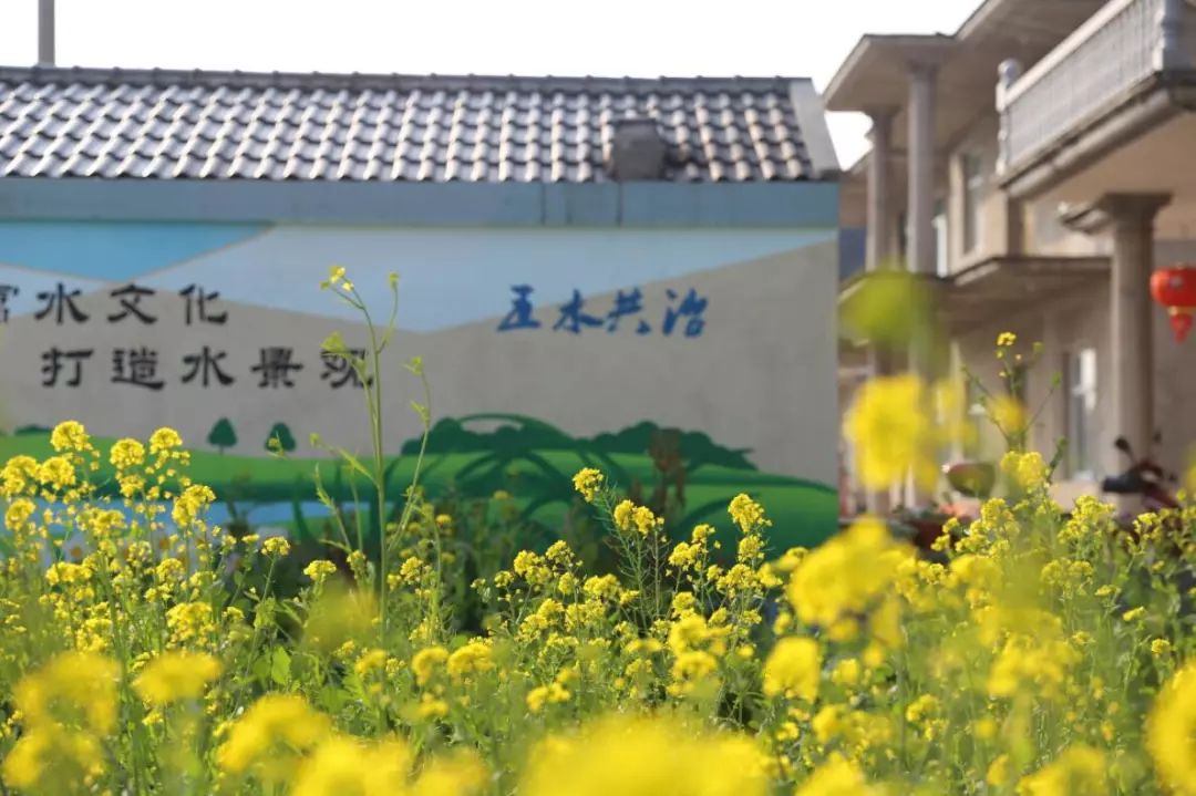 就在定塘花港村