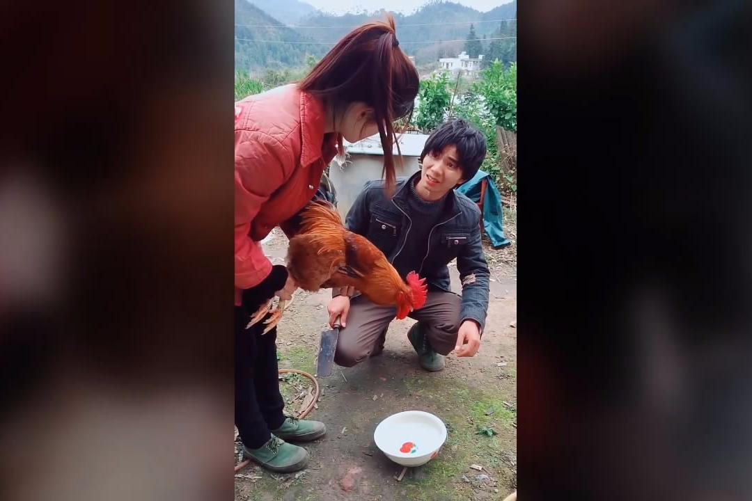 小伙杀鸡,一句话把老婆气走了