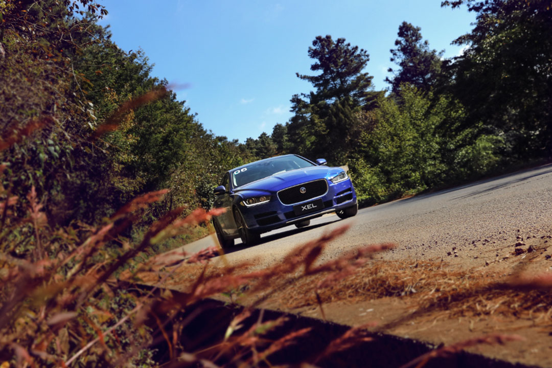 捷豹xel|依旧跳跃的豹子心