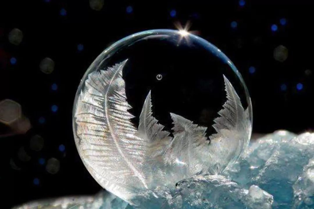 雪花|肥皂泡|冰花_新浪新闻
