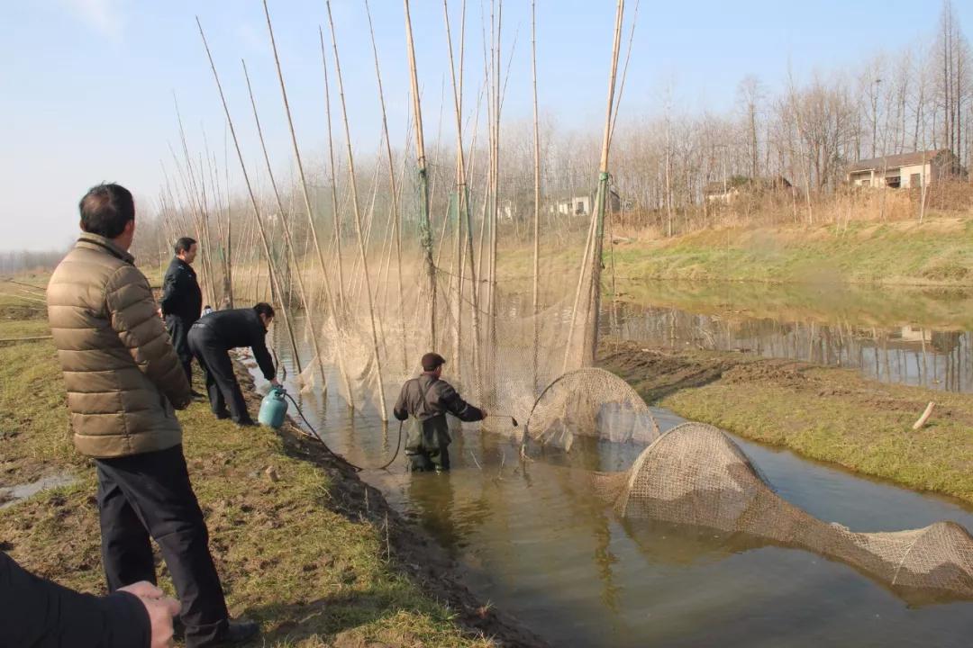石首调弦河"迷魂阵"拆除记