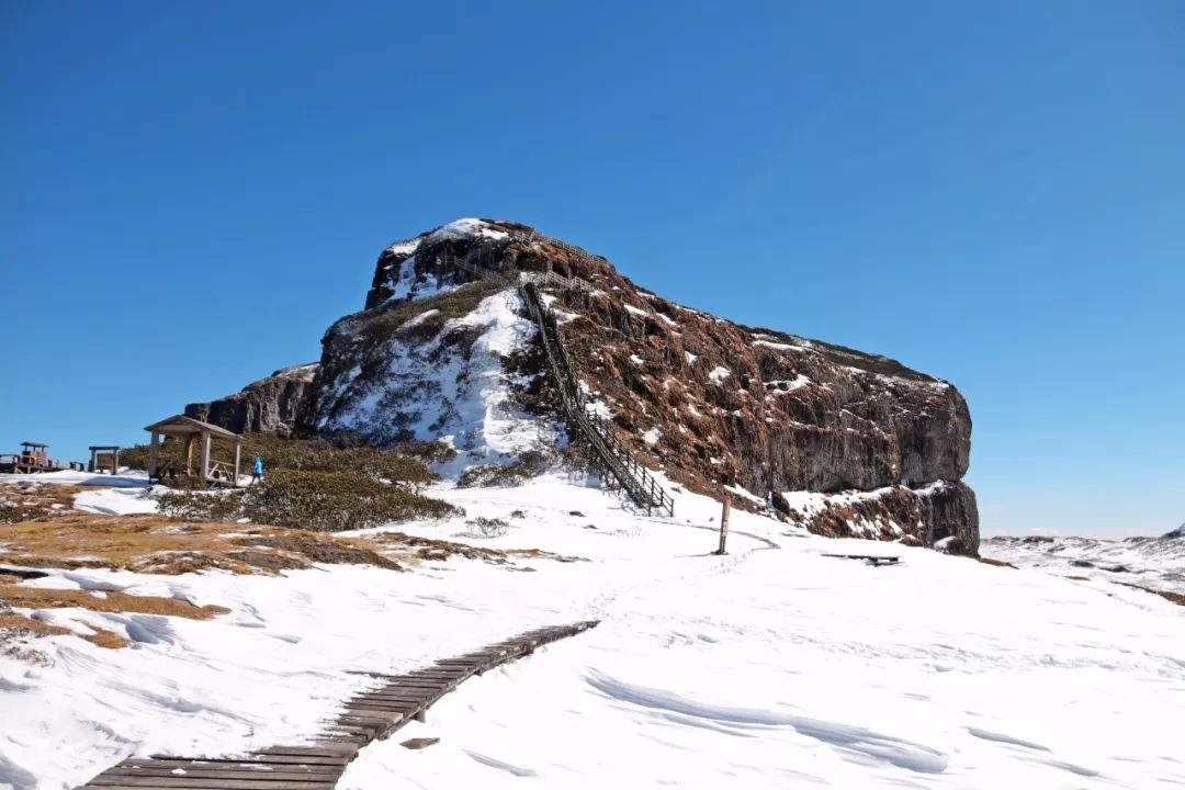 轿子雪山最佳旅游时间( 轿子雪山风景区门票价格 )