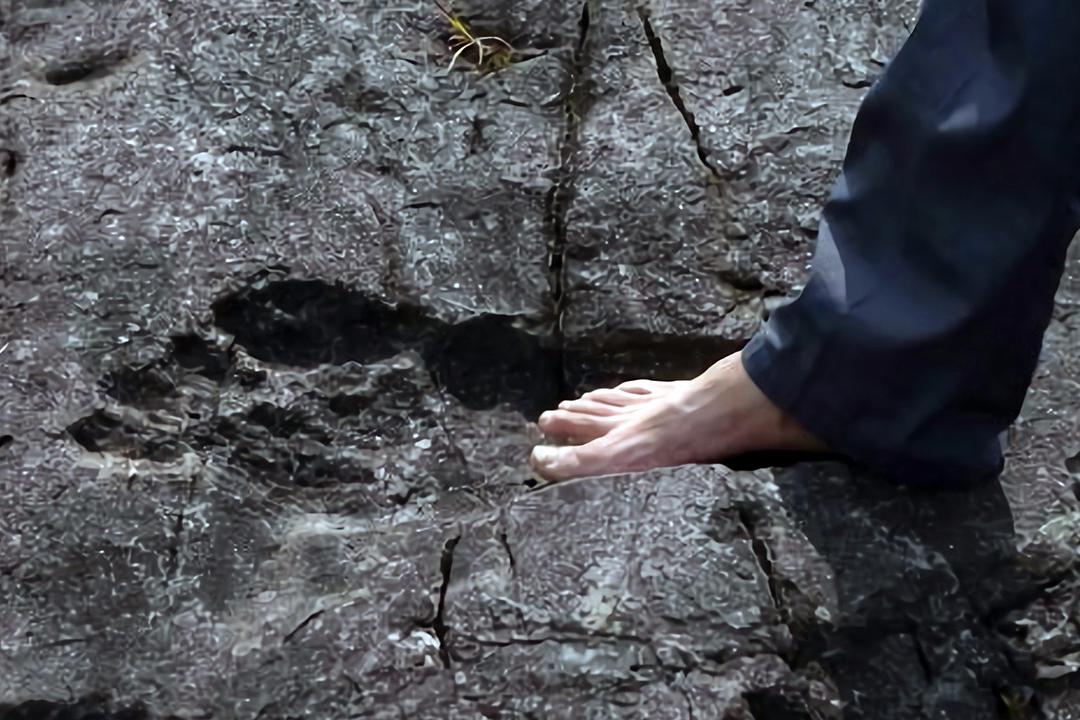 野人?贵州岩石上发现长57cm神秘脚印,是普通人3倍