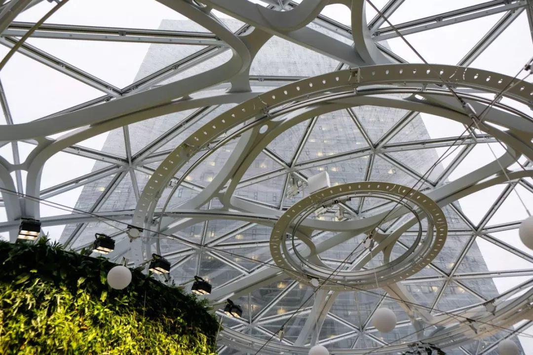 美国亚马逊公司设在华盛顿州西雅图的新总部大楼 the spheres 终于