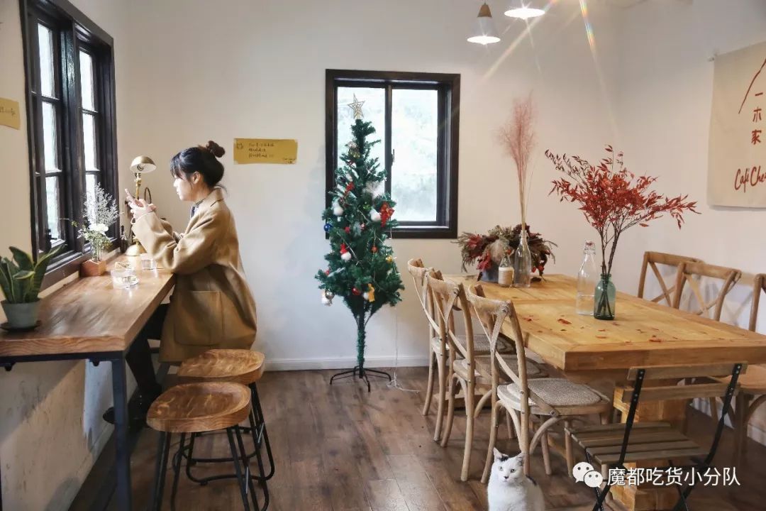 一个人的咖啡屋,常客是只猫!