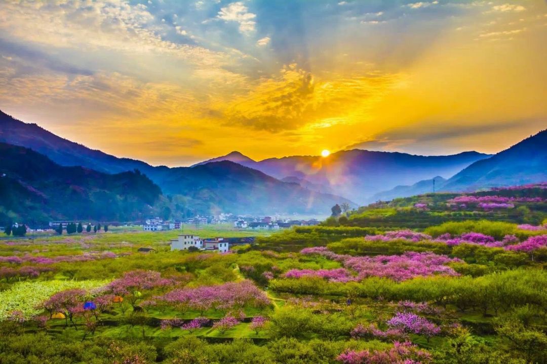 韶关这个醉美乡村,即将迎来一年一度漫山花海的盛景|乐昌|九峰|无人机