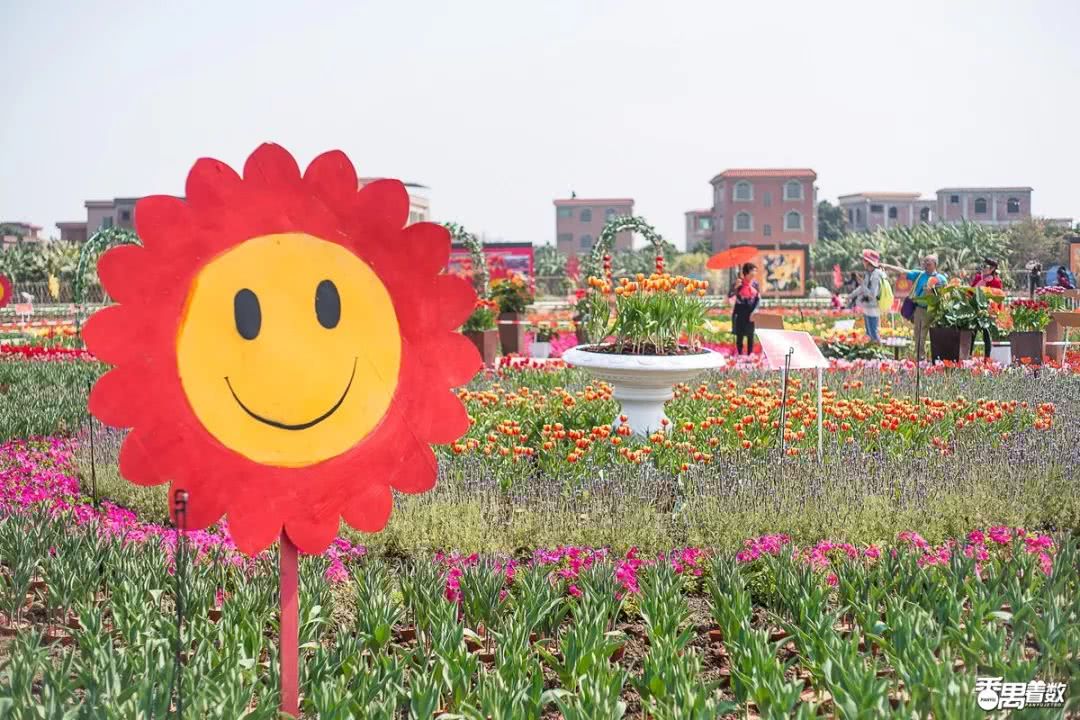 85元起地址:广州市南沙区万顷沙镇新垦15涌"花城"广州,就是花的海洋