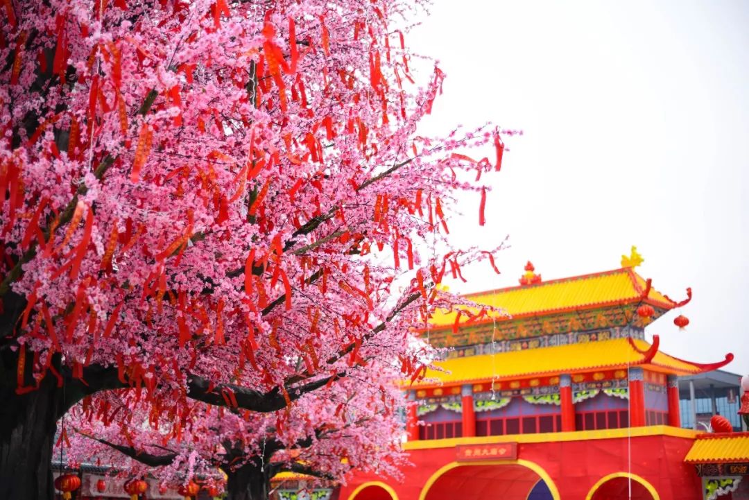 2018贵阳市观山湖区西南国际商贸城春节灯会庙市之贵州大庙会