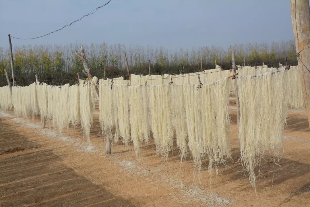 粉条不一定越耐煮越好,关于手工粉条的这些常识你知道吗?