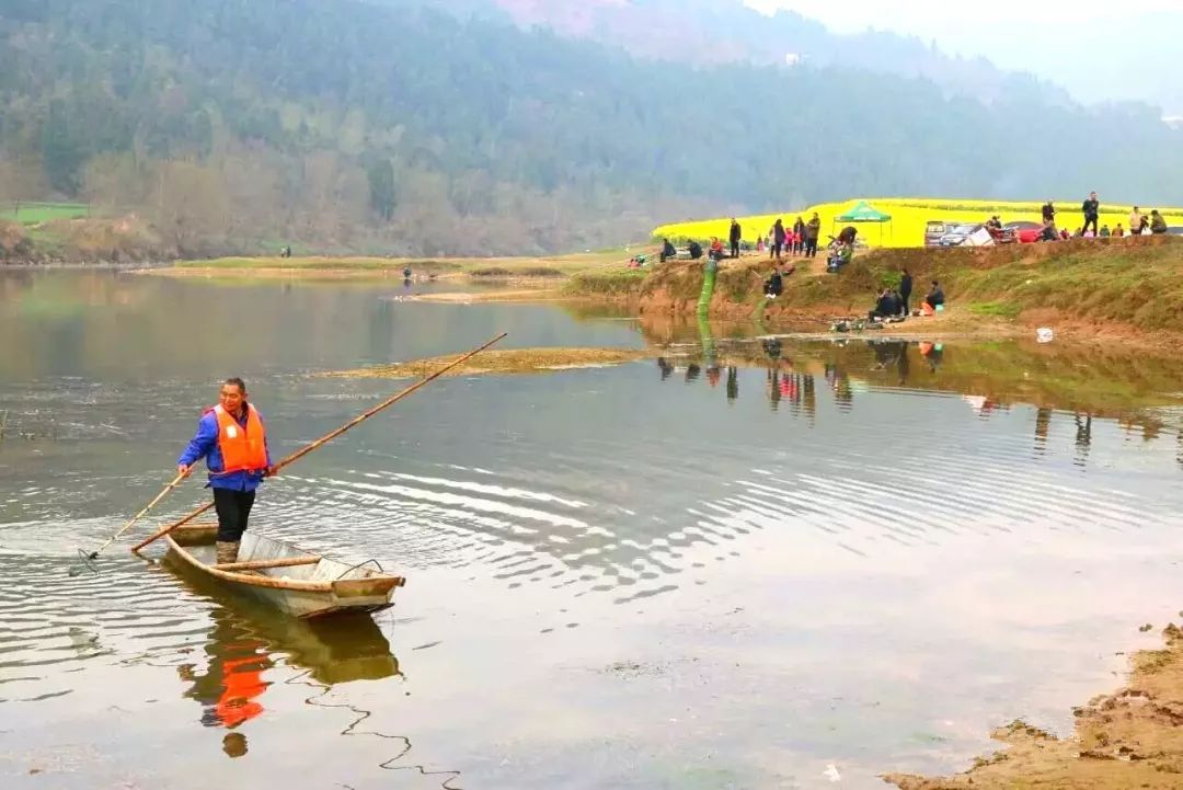 绵阳这个自驾野炊圣地!已花开成海!还有神秘清代石窟