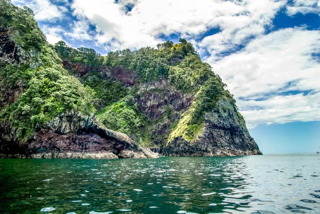 堪比马尔代夫,这座新西兰私人海岛,包下来竟比酒店还便宜.