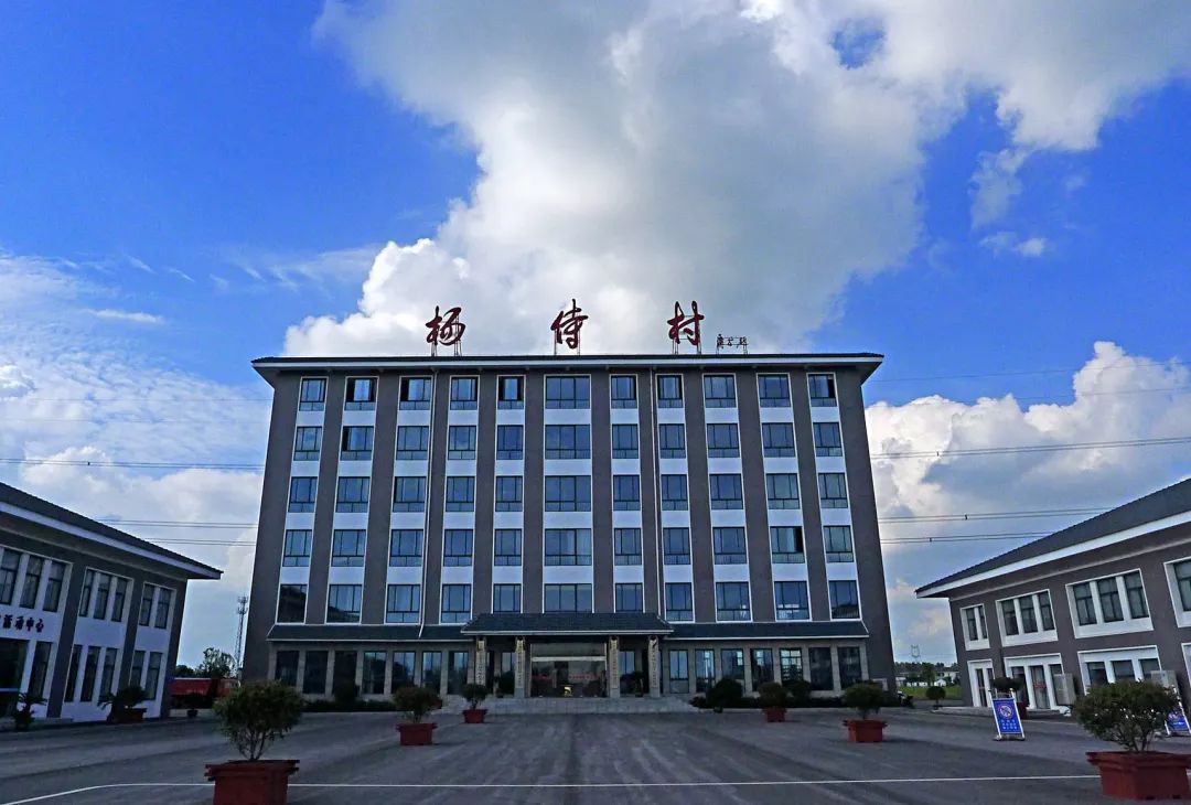 常州的这个村火了!国家点名表扬,将成为全国最妒忌的地方!