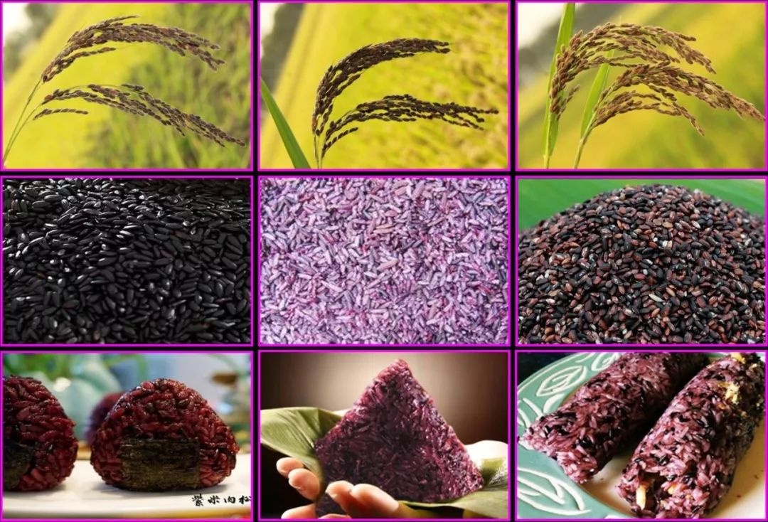 大米还有彩色的?不光好吃还好看|稻米|大米|园艺_新浪新闻