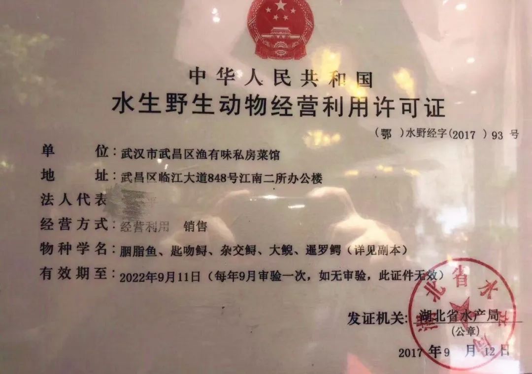 销售鲟鱼通过了国家水生野生动物经营许可鱼痴渔醉私房菜馆乃持证上岗