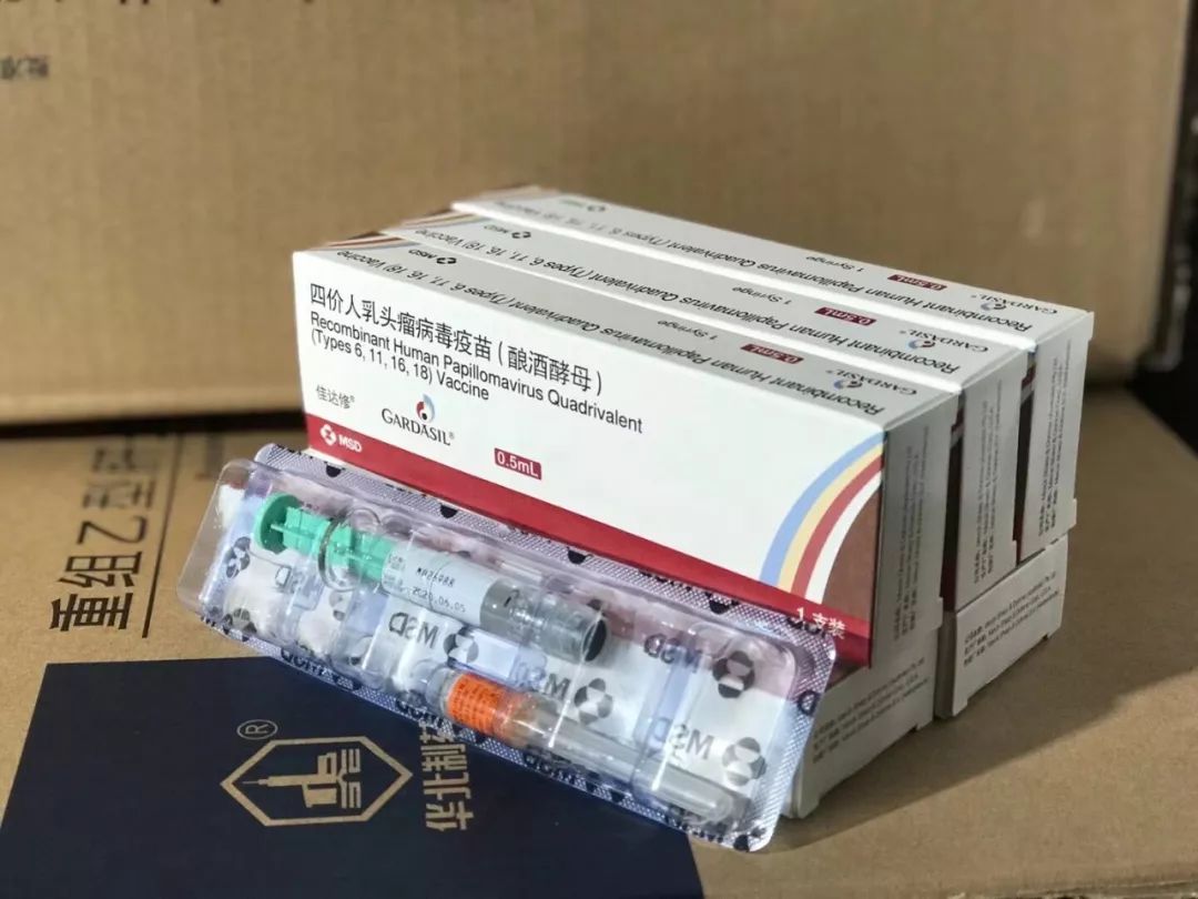武进女性,首批四价宫颈癌疫苗到货啦!有需求的赶紧预约吧