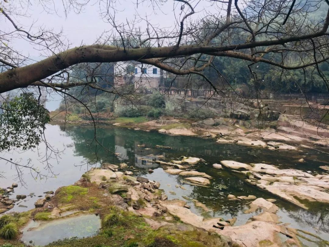 乐山最值得去的冷门古镇!风光醉人,美的不重样!