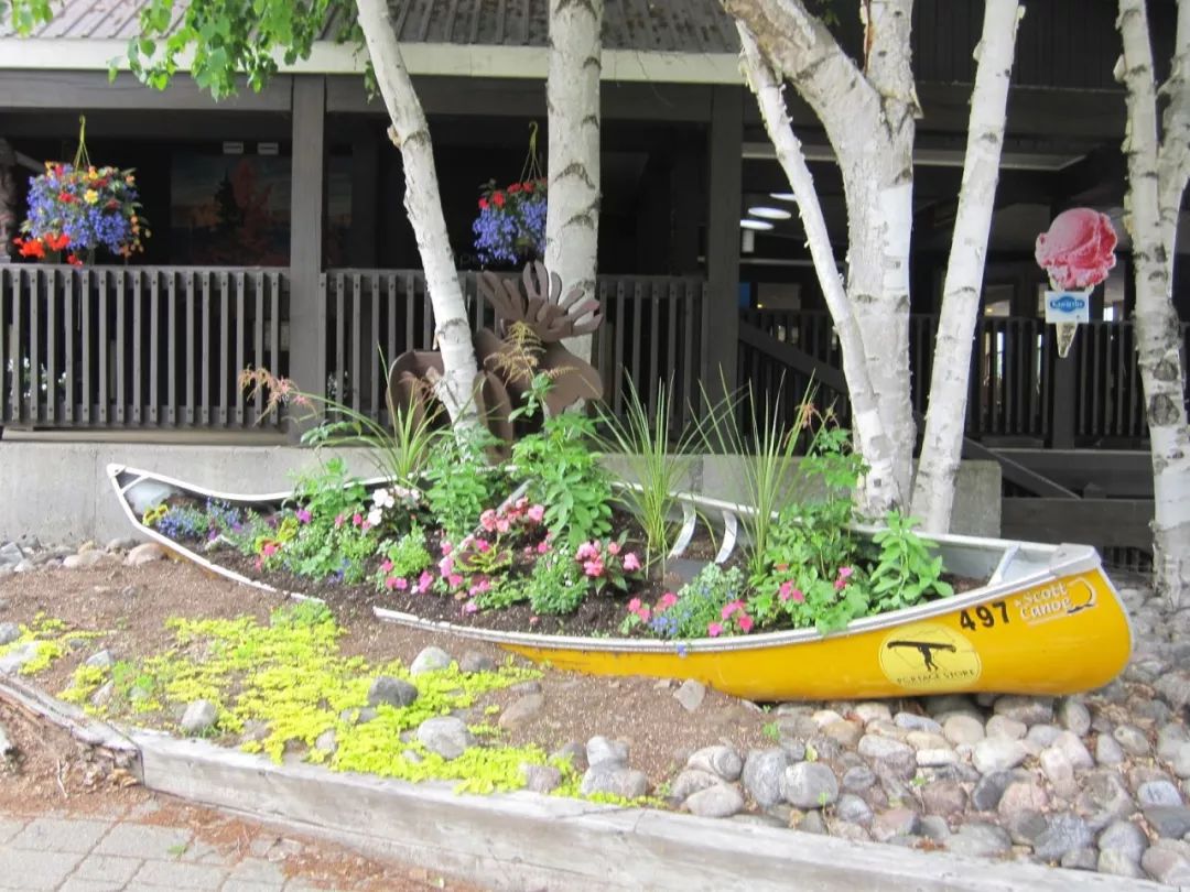 11个巧妙废物改造成小花坛的创意,养花省钱又美观