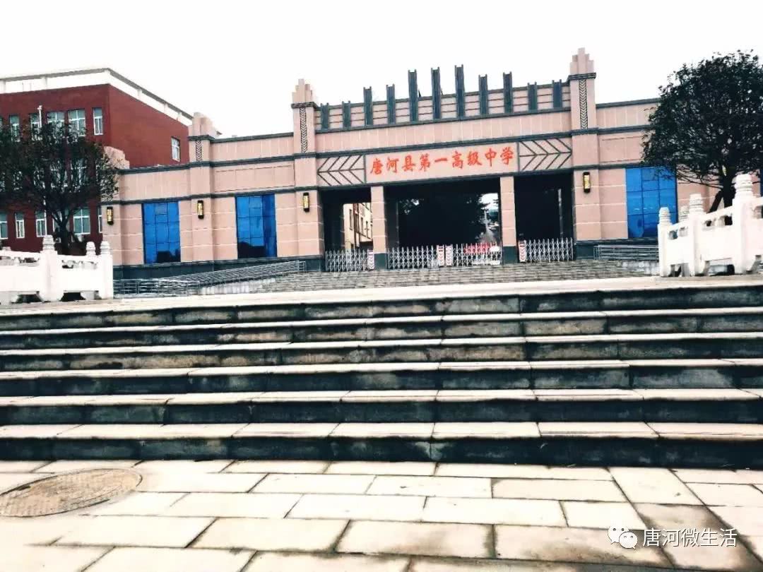 重磅!唐河一高中将办新校区!