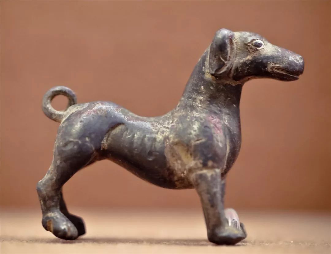 国家博物馆藏"汪星人"正奔向你|国家博物馆|白玉|狗_新浪新闻