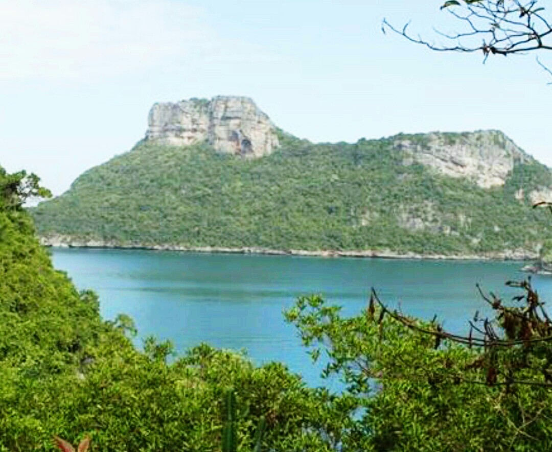 浙江最"神秘"的无人岛, 荒废30年, 整个岛屿被植物"占领"!