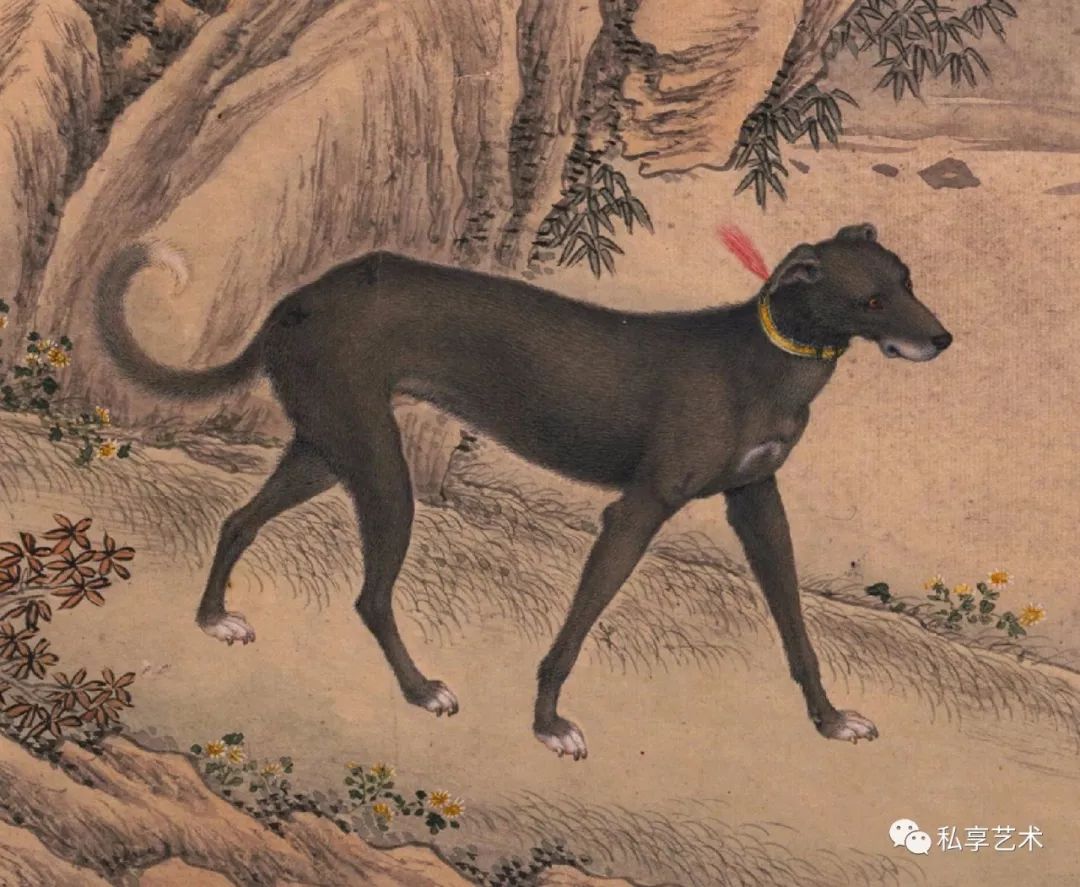 瑞犬迎新乾隆皇帝的至宠名犬艾启蒙绘十骏犬图册