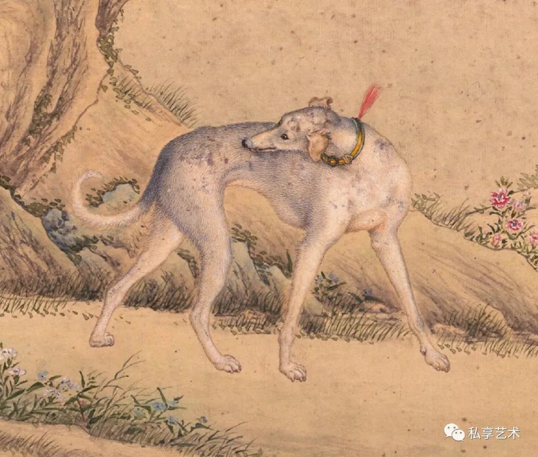 瑞犬迎新乾隆皇帝的至宠名犬艾启蒙绘十骏犬图册