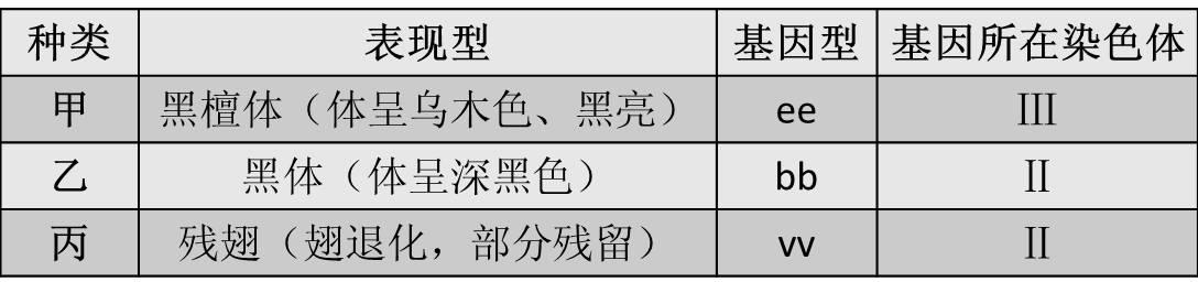 遗传的基本规律04|焦刚|果蝇|刚毛_新浪新闻