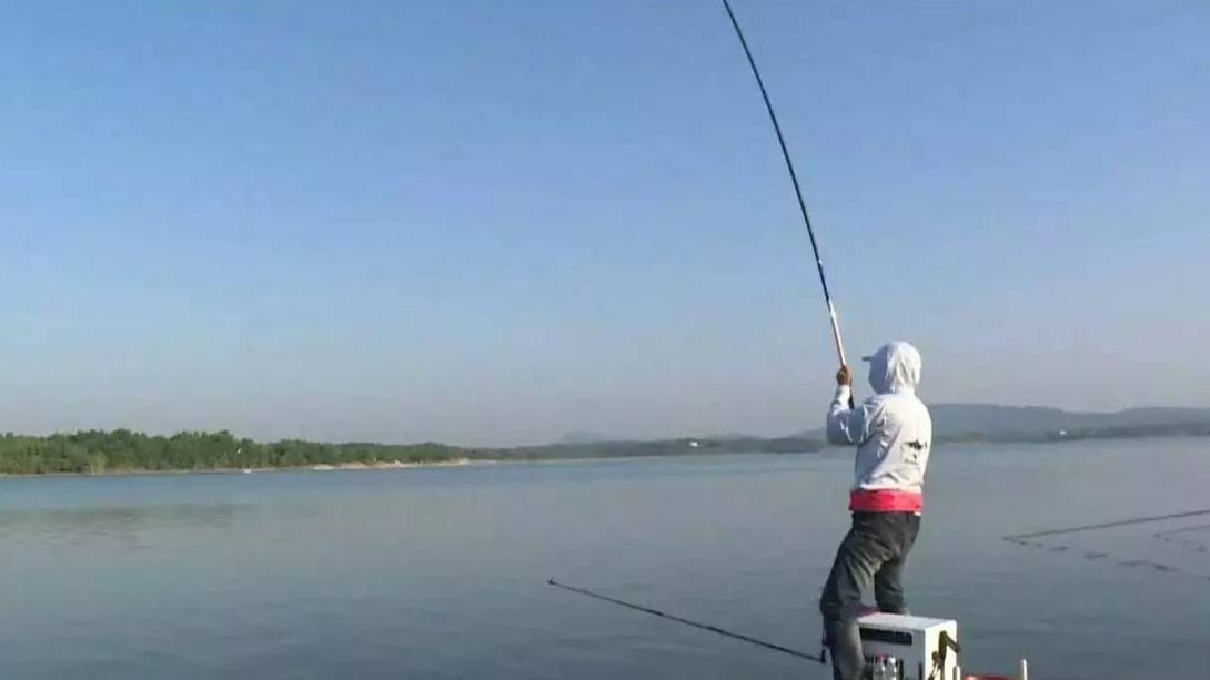 青鱼那么大,遛鱼一定相当困难吧?此话不假,但用好窍门终能成功|青鱼|