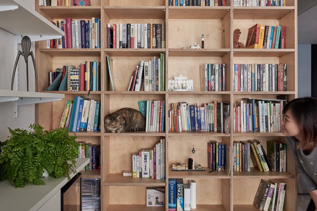 SEO书架布置推荐