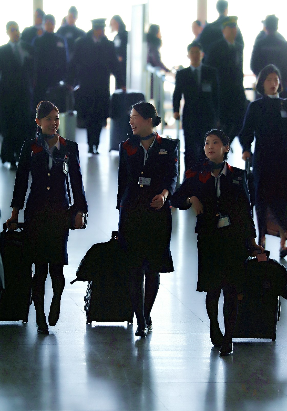 今天下飞机遇到了好几位空姐,美不美有没有气质大家自己看